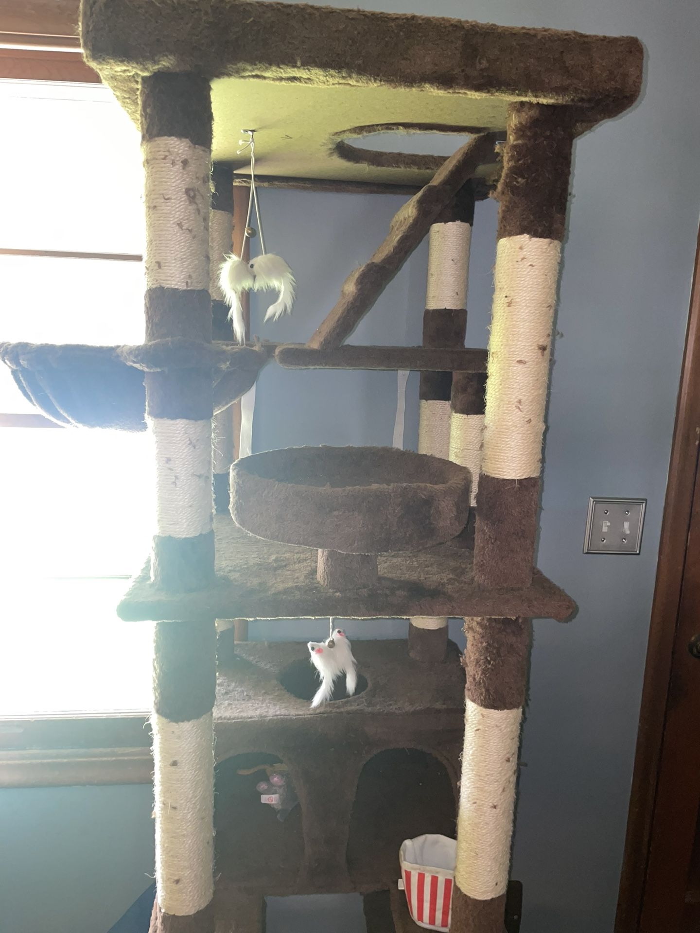 Cat Tower