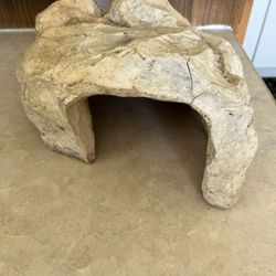 Reptile Cave 
