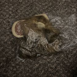 New Small Pet Lion Mane Costume 