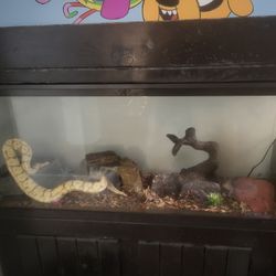 55 Gallon Reptile Tank