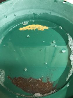 Gold Mining Prospecting Does Your Land Have Gold