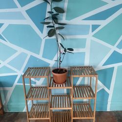 SONGMICS Bamboo Customizable Plant Stand Shelf Flower Pots