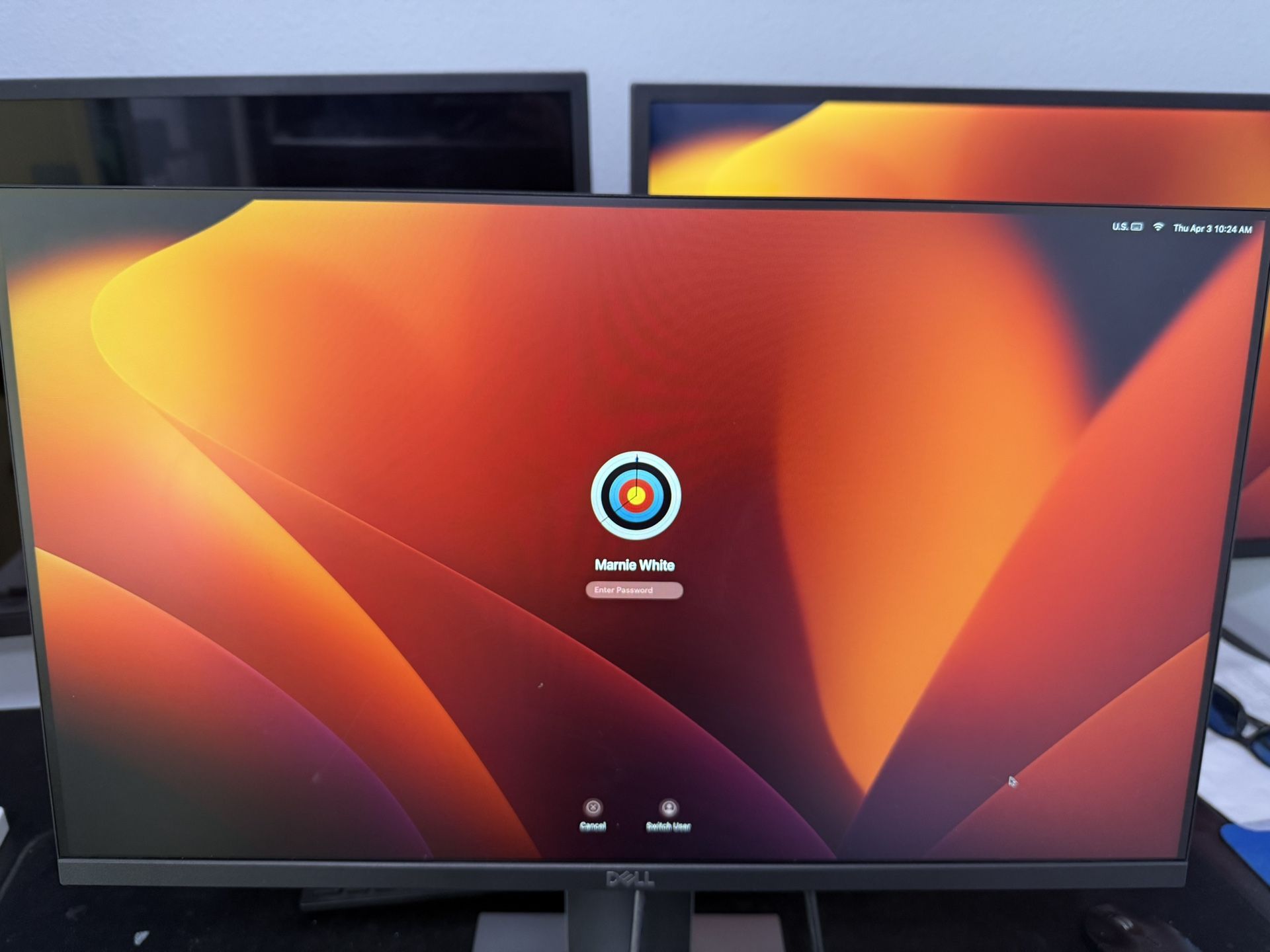 Dell P24 Monitor