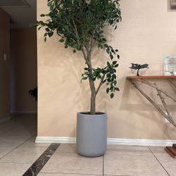 CG Hunter Faux Ficus Tree, Premium Artificial Indoor Plant Stands 6.5’ Tall, Lifelike-Leaves and Hand Painted Trunk Create Realistic Faux-Ficus Tree A