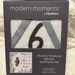 Monthly Milestone Blanket 