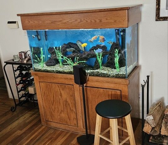 70 Gallon  Fish Tank Full Setup - Stand, Hood, Programmable Lights, Fluval Filter, Media, Gravel, The Whole Package.