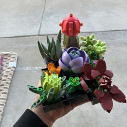 LEGO succulents 