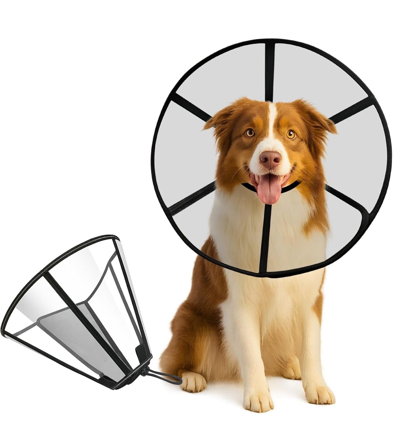 Dog Cone