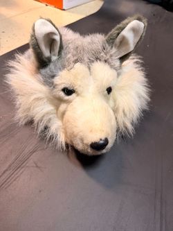 Harry the Husky Hat