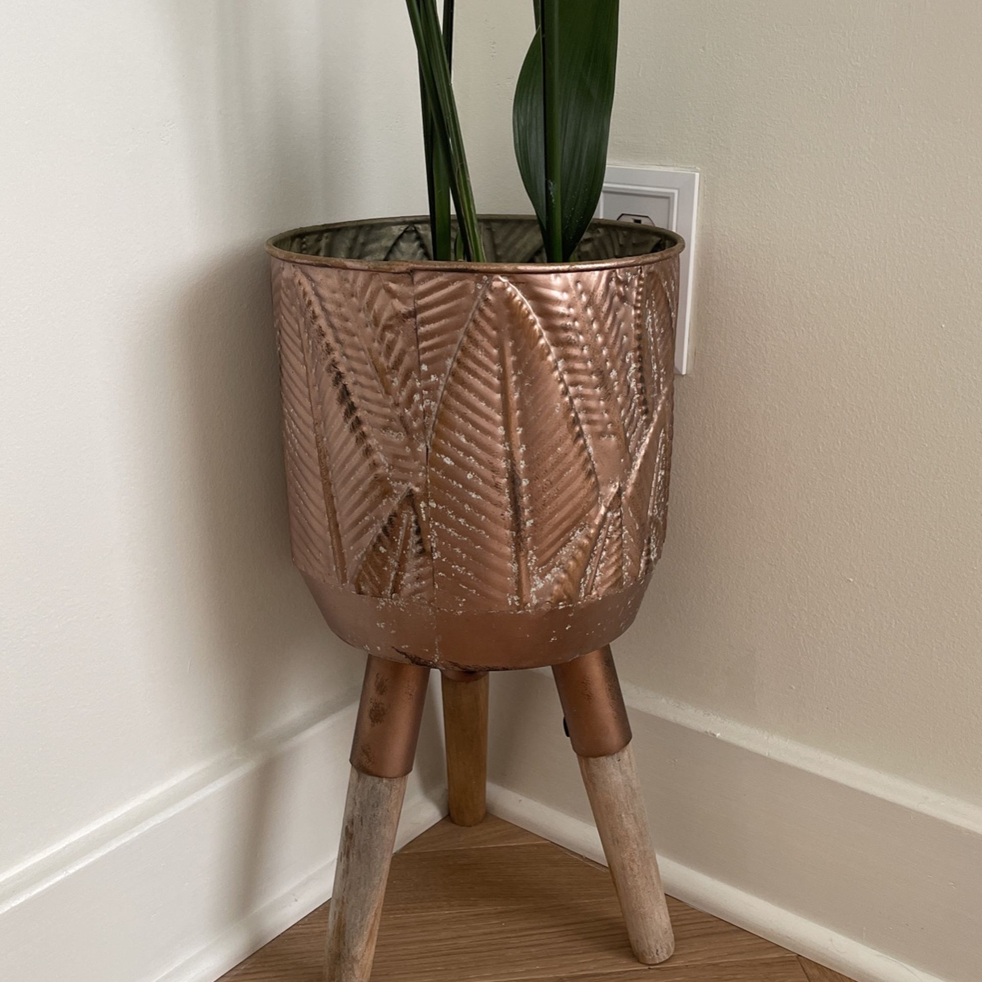 Rose Gold Plant Holder