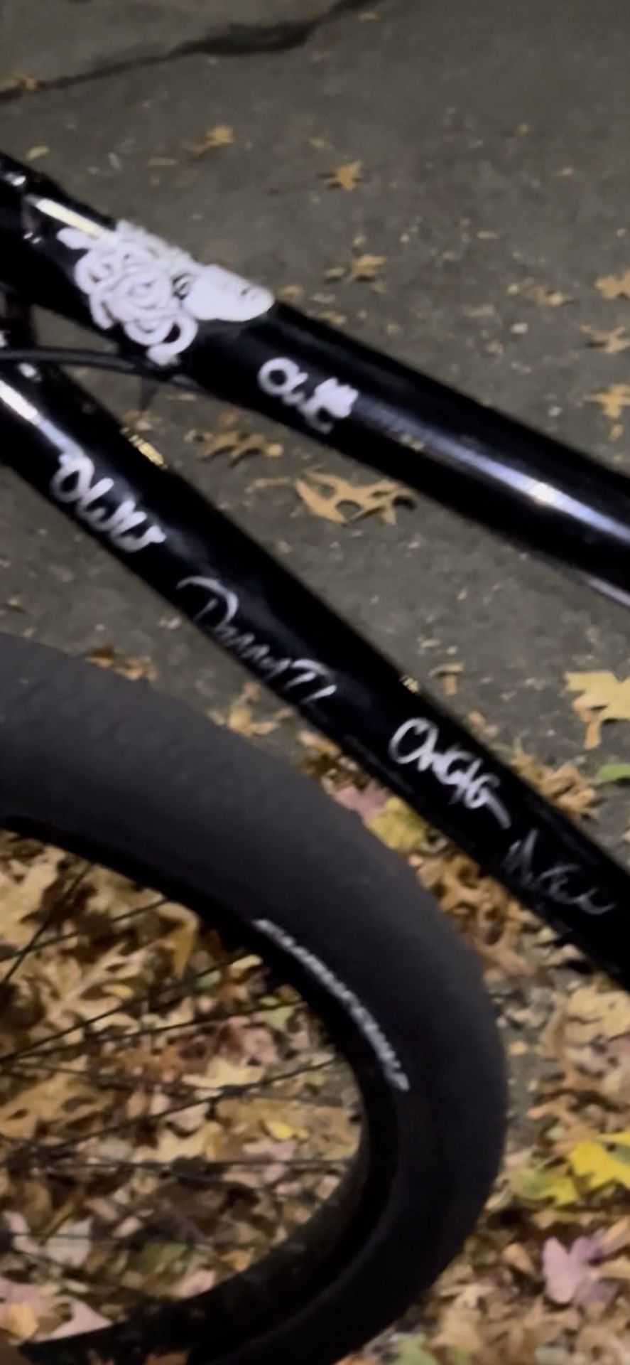 Medusa Trades Or Cash