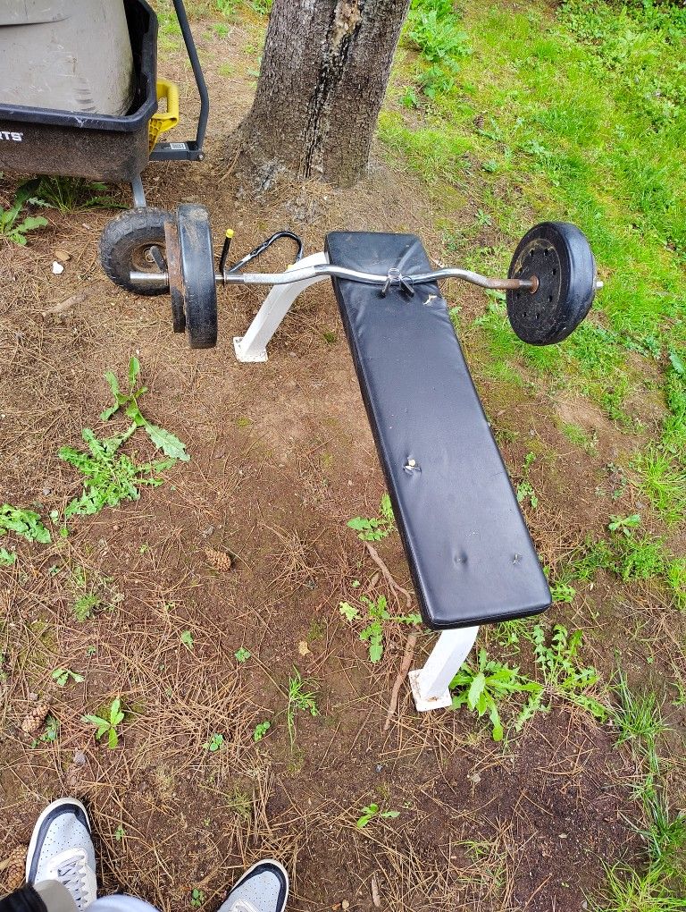 Bench And Weights