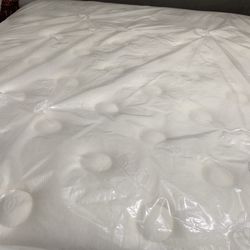 Queen Mattress And Box Spring 