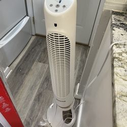Fan 