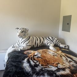 Giant  Siberian white Tiger