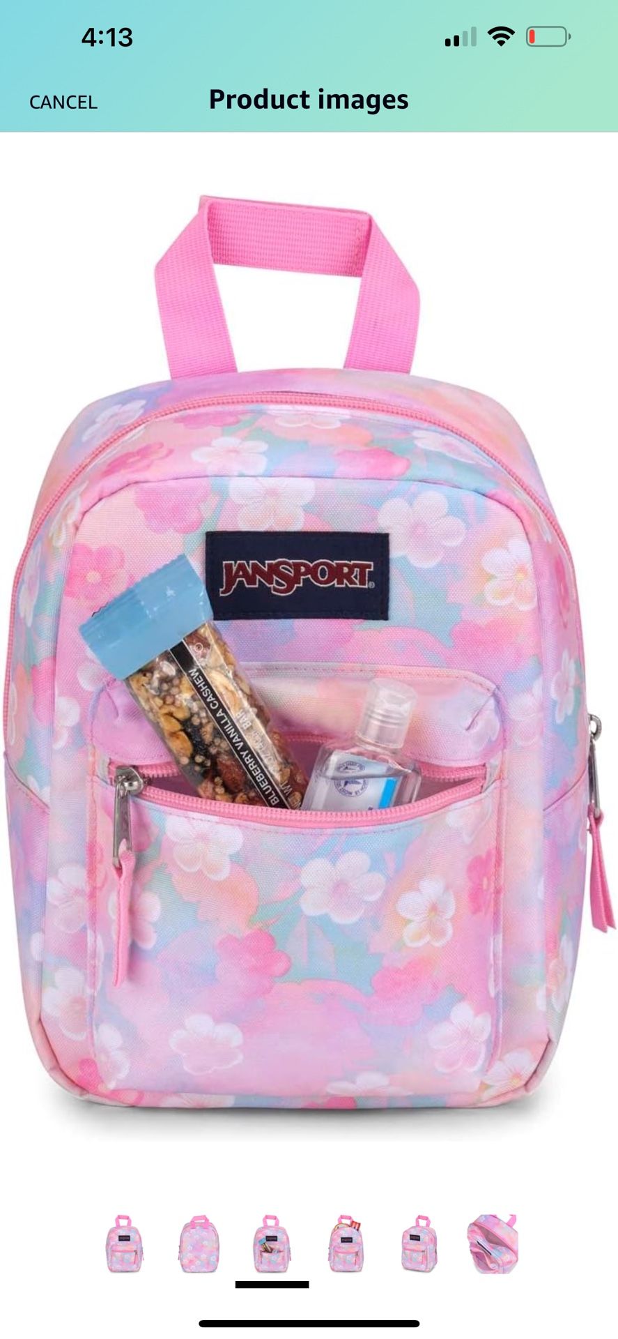 Jansport Mini Backpack 