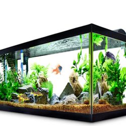 Size 40 Breeder Black Fish Tank 