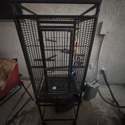 Bird Cage