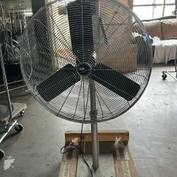 Fan 