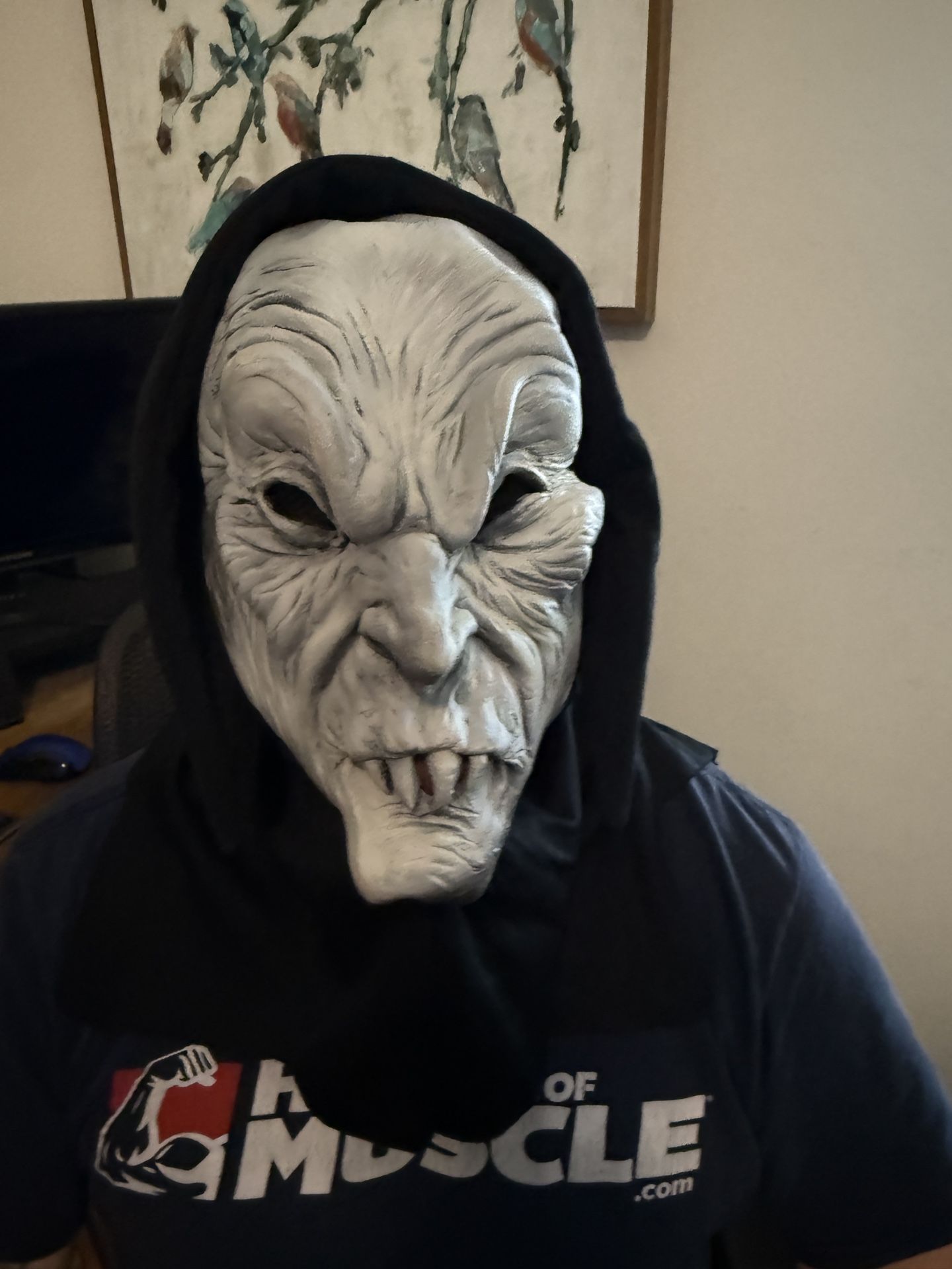 Halloween Mask, Costume hippie, Skeleton Accessories Chokers Nails Bandages Antidote Bag Witch Ghoul