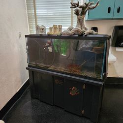 40 Gallon Fish Tank + FilterS