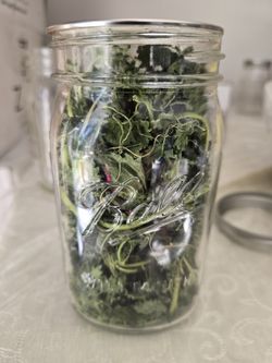 Stinging NETTLE AMAZING FOR Health $5