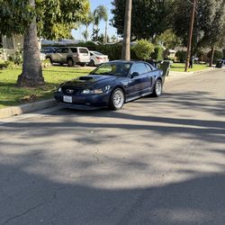 2002 Mustang Gt
