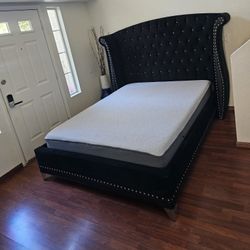 Luxury coaster  Queen Size Bed with Casper Mattress