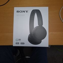 Sony WH-CH520