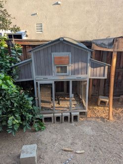 Chicken coop