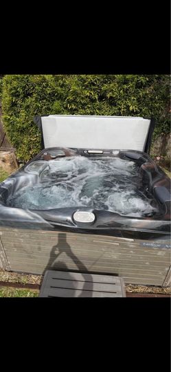 2019 Bullfrog Spa