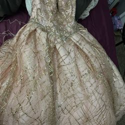 Never Been Used Quince Dress 