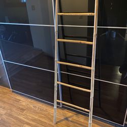 Bamboo Ladder