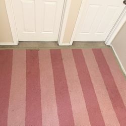 Pottery barn Rug 