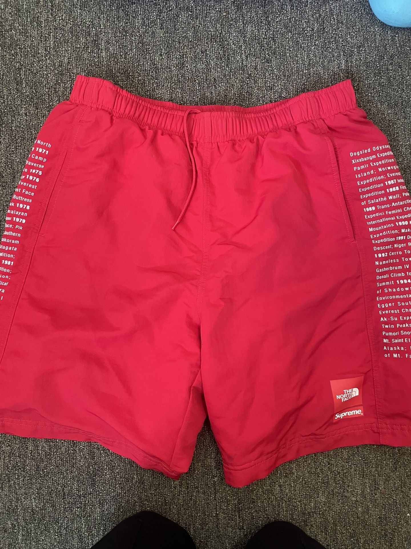 Supreme North face Shorts