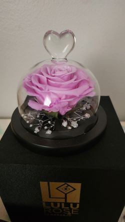 LILAC ENCASED ETERNAL ROSE