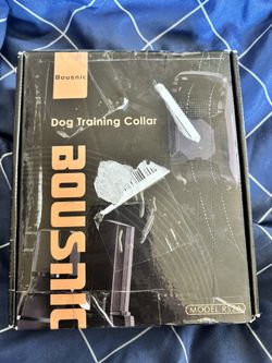 Dog Training Collar