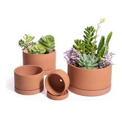 New Terracotta Shallow Planter Pots for Succulent