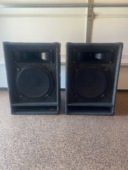 Siesmic Audio 15" speakers with horn