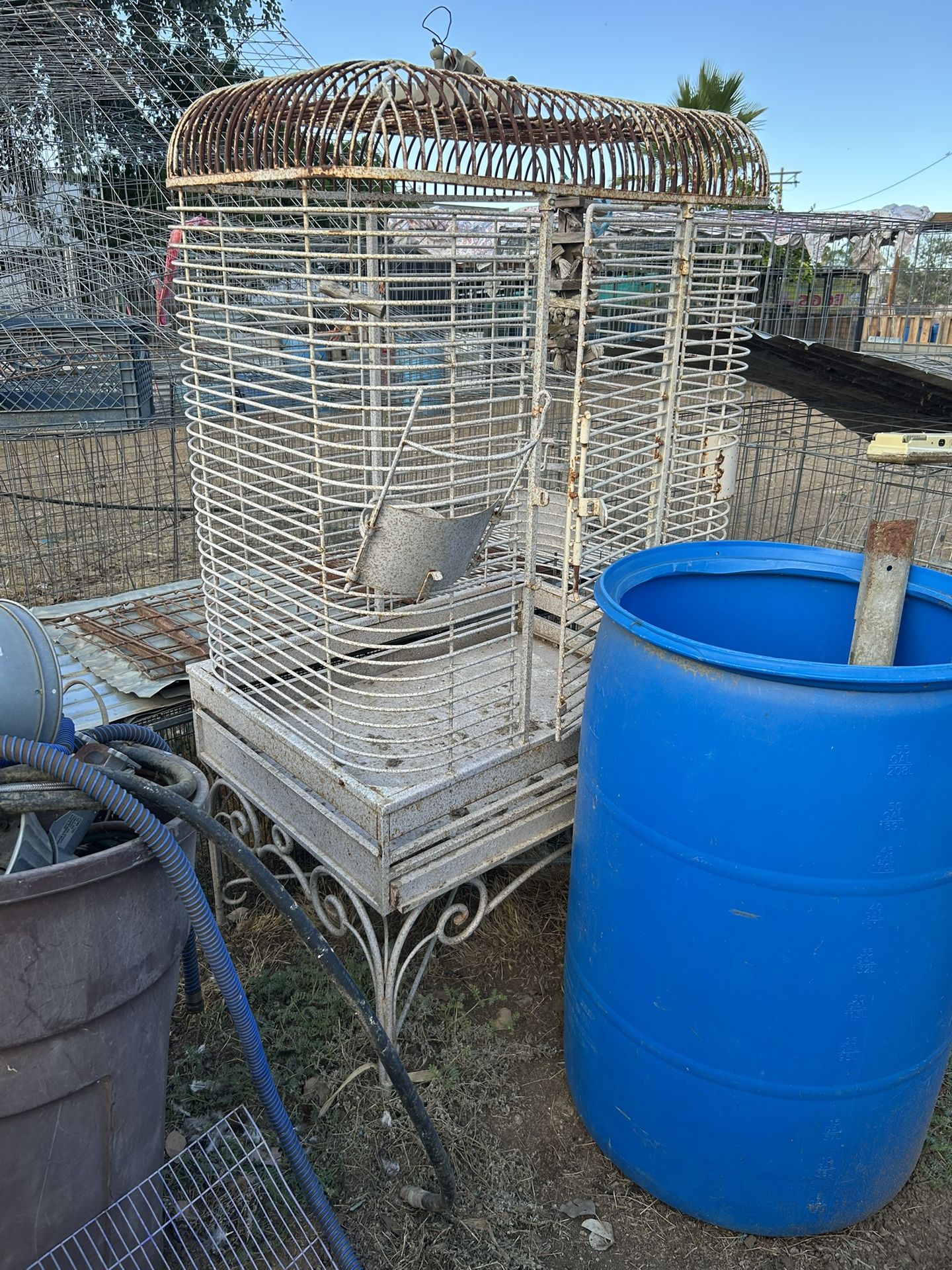 Bird Cage