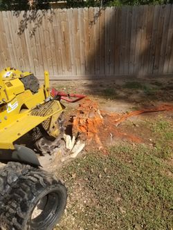 Stump Grinding