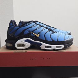 Nike Air Max Plus - 10.5 