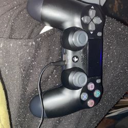 New 