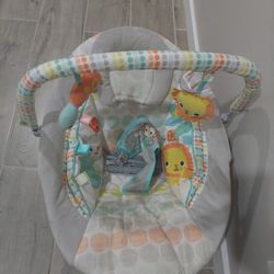 Baby Bouncer 