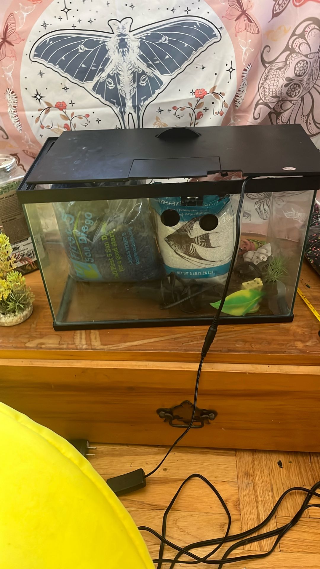 3 gallon aquarium
