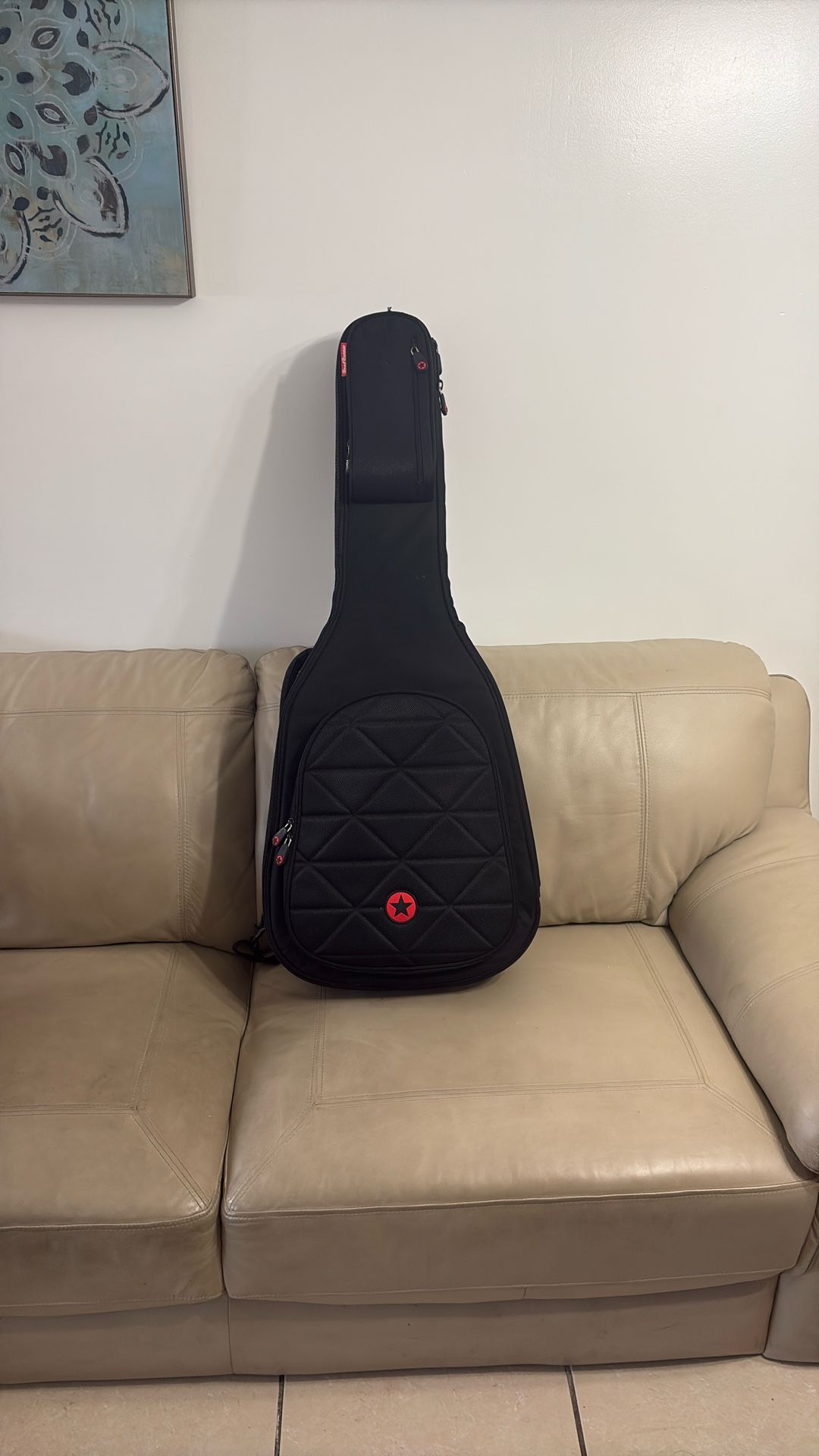 Guitar Case