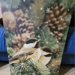 Bird Holiday Picture. Lights Up