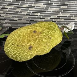 Organic Jackfruit