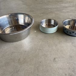 Dog Bowls 