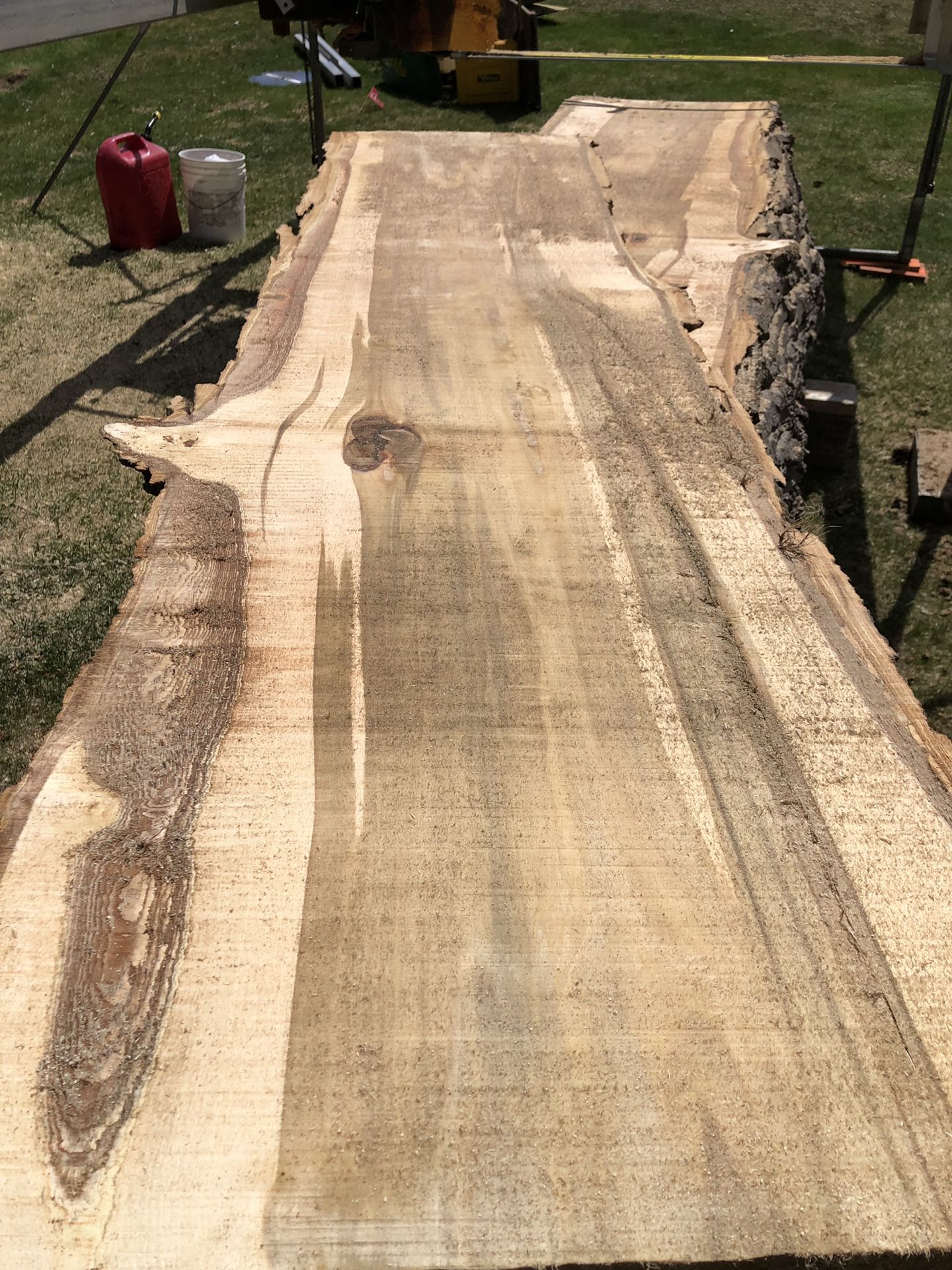 Black cottonwood live-edge slabs